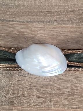 Vintage Charmant White Polished Pearlized Mussel Shell 80s